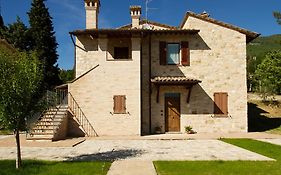 Villa Degli Ulivi