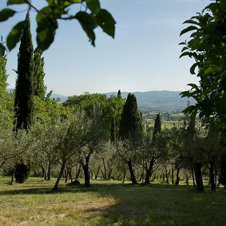 Villa Degli Ulivi Assisi Buitenkant foto