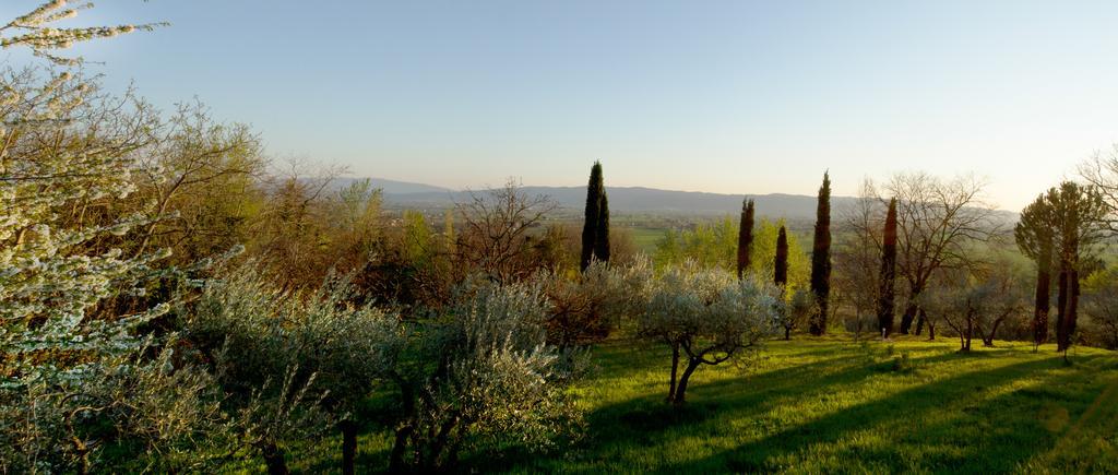 Villa Degli Ulivi Assisi Kamer foto