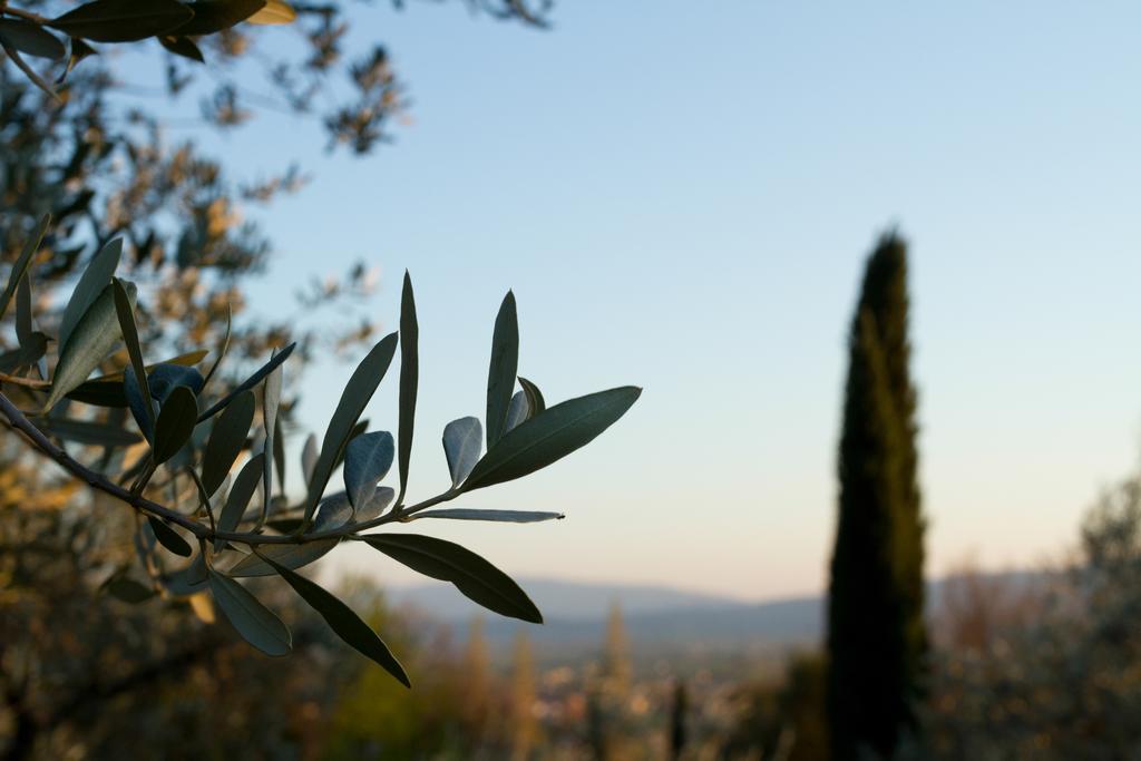 Villa Degli Ulivi Assisi Buitenkant foto