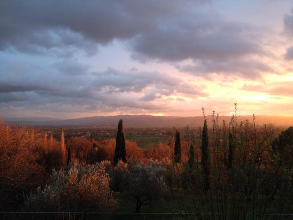 Villa Degli Ulivi Assisi Buitenkant foto